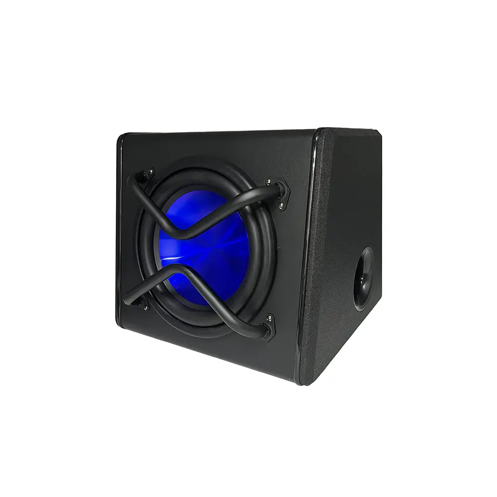 Manufacturer New Style Audio 10 inch subs with box and amp car Subwoofer car audio active 10 bass woofer speaker box