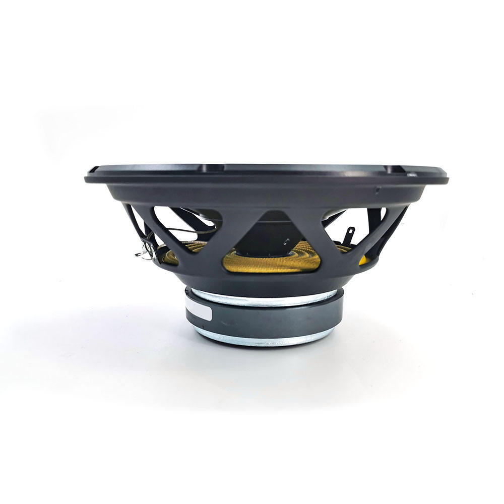 factory big power 10 inch car pure bass subwoofer without box and amp(1010)