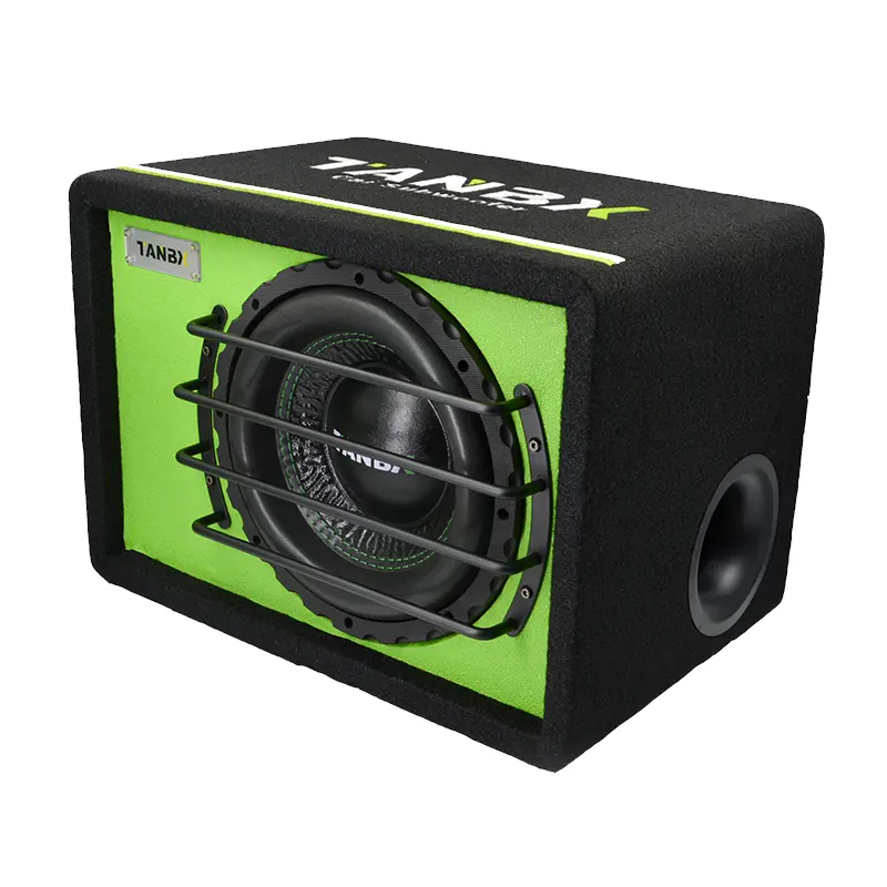 high quality 10 inch car Subwoofer with box and amp
