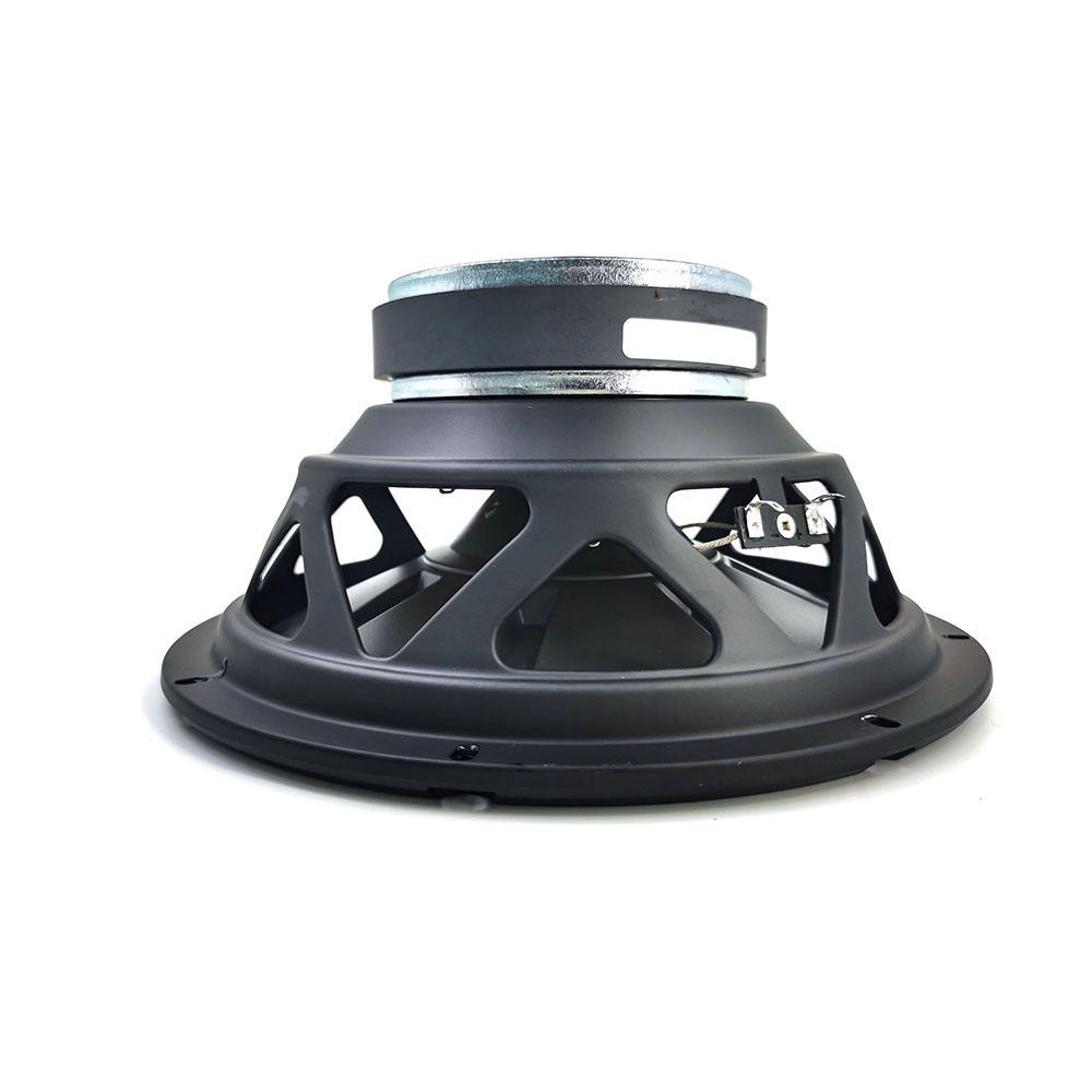 factory big power 10 inch car pure bass subwoofer without box and amp(1010)