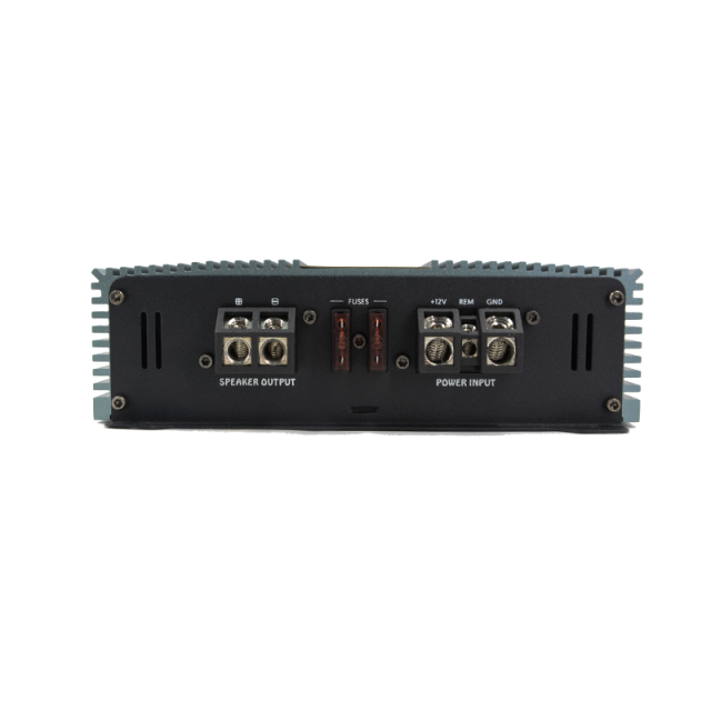 big power professional class D sound digital car amplifier 1 channel amplifier for car audio ( DMS-D1000)
