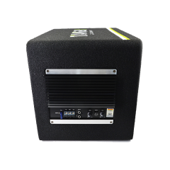 high quality 10 inch car Subwoofer with box and amp