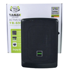 6*9 inch active subwoofer