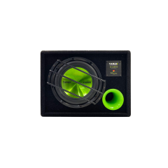 wholesale 10-inch subwoofer with cabinet and amplifier