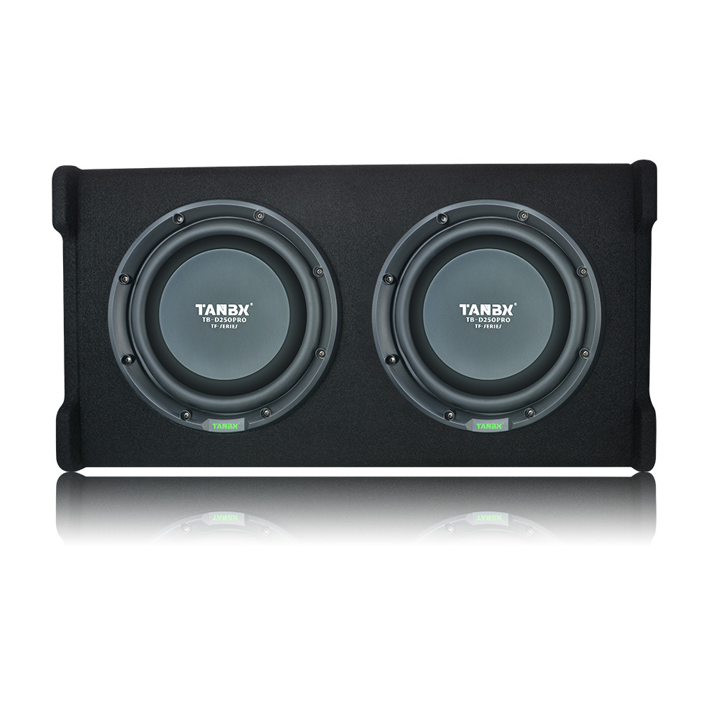 Double 10 Inch Car Audio Subwoofer Powerful Bass System TB-D250PRO