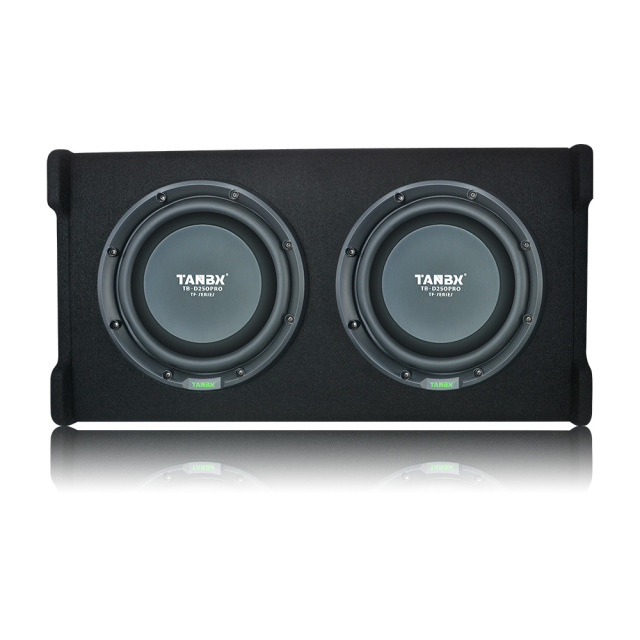Double 10 Inch Car Audio Subwoofer Powerful Bass System TB-D250PRO