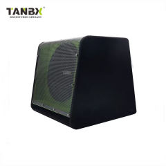 Factory Wholesale 10 Inch High Performance Active Bass Woofer Subwoofer Car Trapezoid Speaker with Amp and Box Subwoofer TB-1360