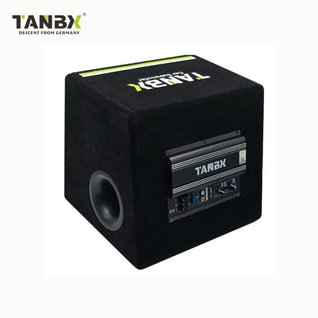 10 Inch Trapezoid Subwoofer Auto Super Bass Active Car Subwoofer Refit 12V Audio Subwoofer for Car TB-1390