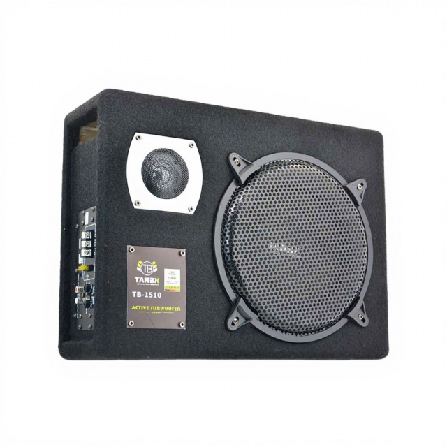 TANBX Competitive Price Car Audio Slim Active Subwoofer with Amplifier 10 Inch Car Bass Speaker with Tweeter TB-1510