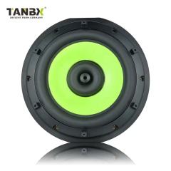 TANBX 800W 13 Inch Ultra-Thin Slim Car Active Subwoofer Pure Bass Spare Tire Subwoofer with Under Seat Controller (SW13A)