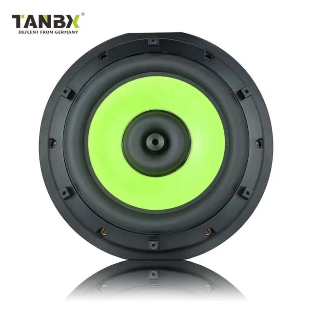 TANBX 800W 13 Inch Ultra-Thin Slim Car Active Subwoofer Pure Bass Spare Tire Subwoofer with Under Seat Controller (SW13A)