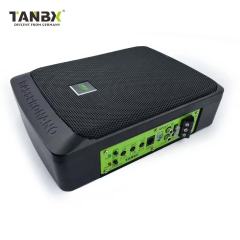 Factory Wholesale New Design High Quality Car Bass 6*9 Inch Slim Active Subwoofers Car Speaker Audio Subwoofer Under Seat