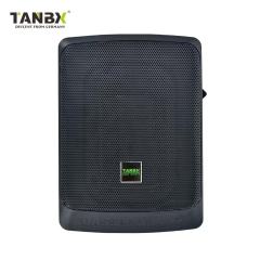 Factory Wholesale New Design High Quality Car Bass 6*9 Inch Slim Active Subwoofers Car Speaker Audio Subwoofer Under Seat