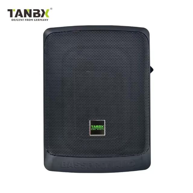 Factory Wholesale New Design High Quality Car Bass 6*9 Inch Slim Active Subwoofers Car Speaker Audio Subwoofer Under Seat