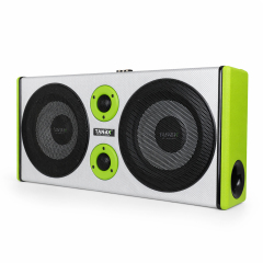 TB-DU8-04 8-Inch Dual Car Speaker Box with Tweeters