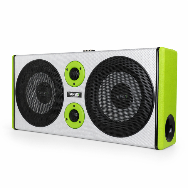 TB-DU8-04 8-Inch Dual Car Speaker Box with Tweeters