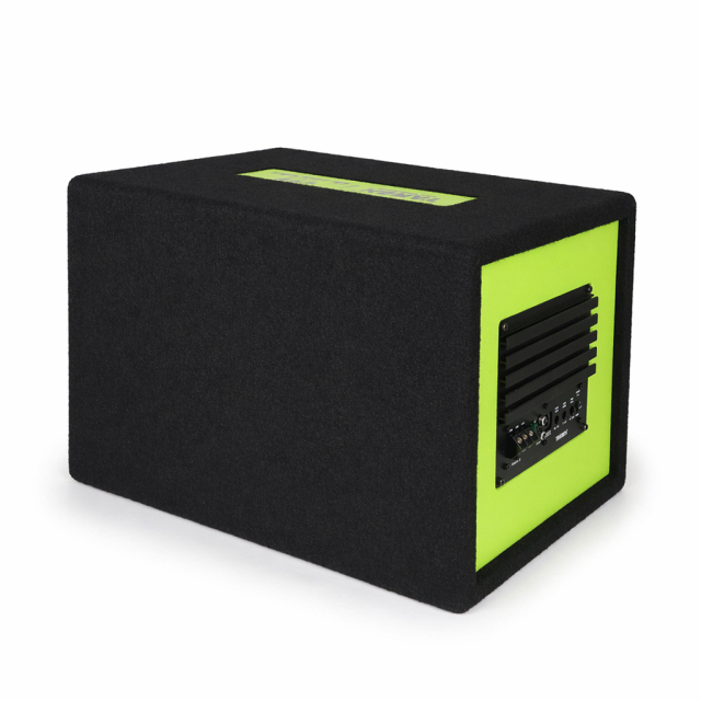 Wholesale Car Audio 10inch 1000W Plastic Subwoofer Box Powered Subwoofer DOUBLE COIL