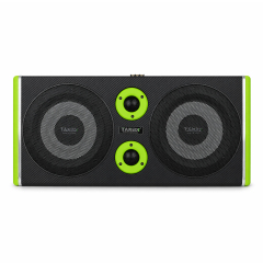 TB-DU8-05 8-Inch Dual Powered Subwoofer Box with Tweeters
