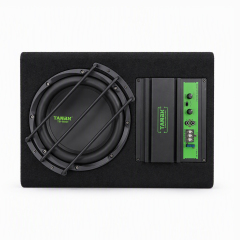 TB-1001 10-Inch High-Performance Car Audio Subwoofer