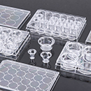 Cell Culture Plate