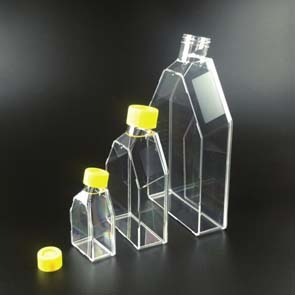 Tissue Culture Flask