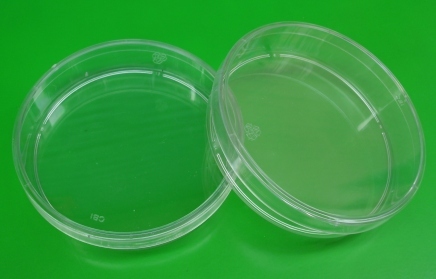 Cell Culture Dish