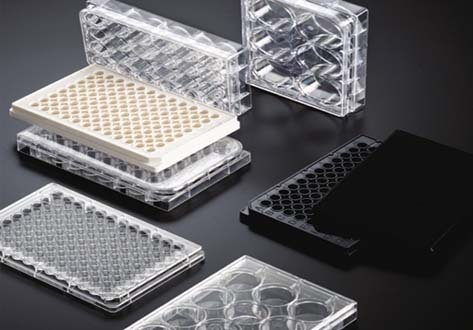Cell Culture Plate