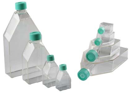 Tissue Culture Flask