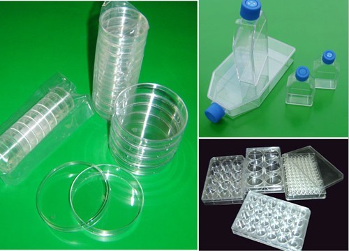 Cell Culture Flask