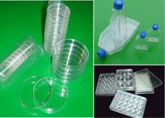 Cell Culture Flask