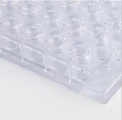 Cell Culture Plate
