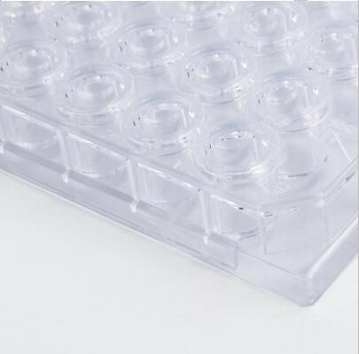 Cell Culture Plate