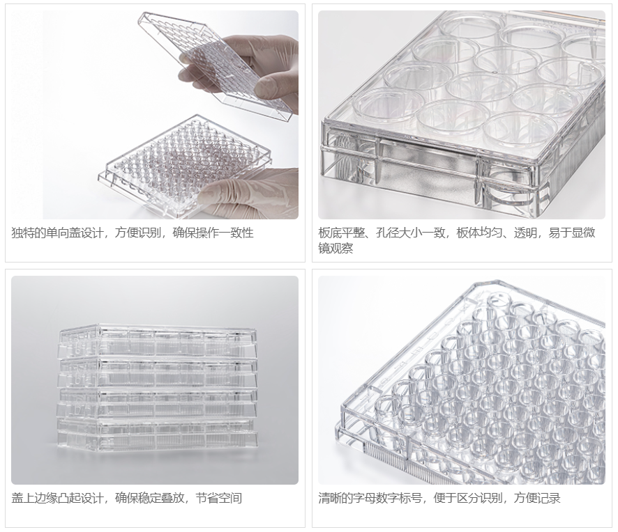 Cell Culture Plate