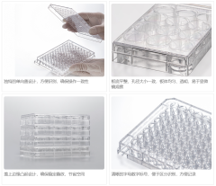 Cell Culture Plate