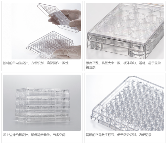 Cell Culture Plate