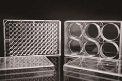 Cell Culture Plate