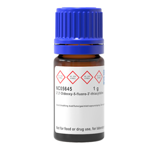 Tool enzyme