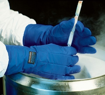 Ultra low temperature protective gloves