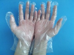 Disposable Polyethylene Gloves