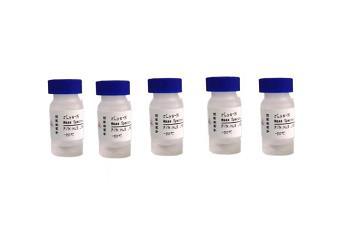 Tool enzyme