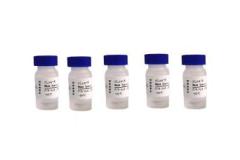 Tool enzyme