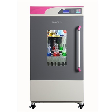 Curve control ten stage programming biochemical incubator