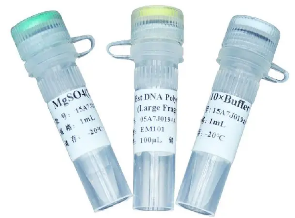 Taq Plus DNA Polymerase