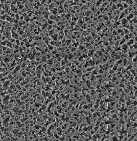 PVDF Membrane Roll