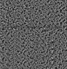PVDF Membrane Roll