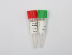 Taq  Hotstart DNA Polymerase