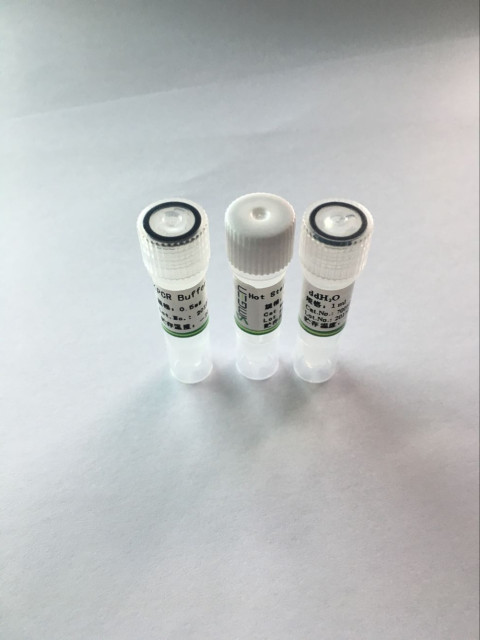 Taq  Hotstart DNA Polymerase