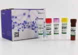 Respiratory virus quality control reagent kit
