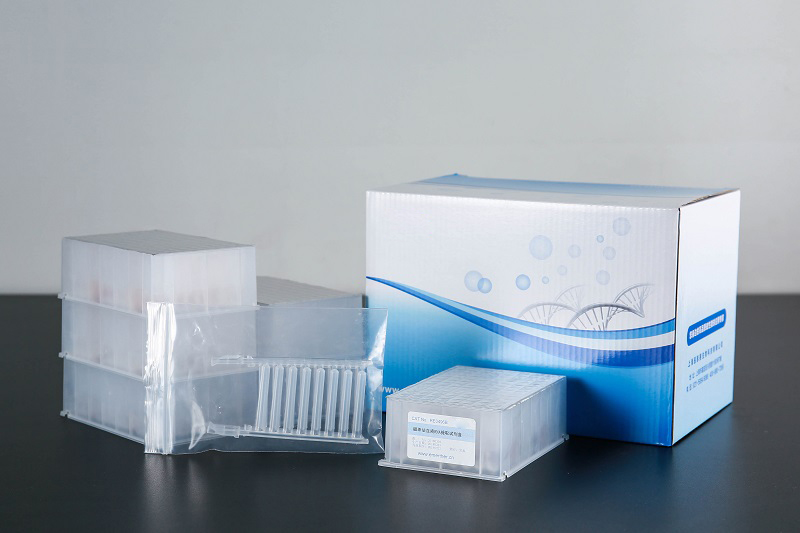 Soil DNA/Gram+ Bacteria Plasmid/Plant Chloroplast DNA extraction kit