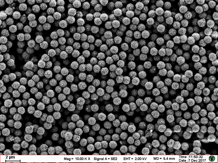 Nucleic acid extraction magnetic beads